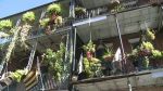 New Orleans Metropolitan Convention and Visitors Bureau