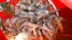 Ewell Smith & Troy Landry from Swamp People - Did You Know?