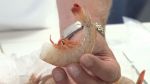 How to Prepare Shrimp - A Piece of Advice