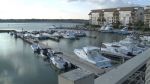 Picture Perfect View on the Grand Strand - Top 5