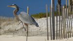 Apalachicola - The Perfect Weekend Getaway
