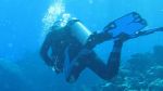 The ATOCHA... Real Treasure in the Florida Keys!