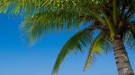 Beginnings and Endings in Key West
