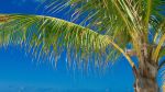 CNN Gives Key West a 10!