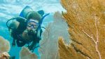 Diving Key West
