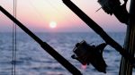 Dolphin Masters Invitational
