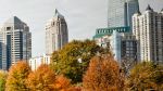 Fall Foliage and Fall Festivals!