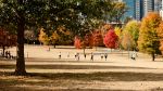 Autumn in Atlanta