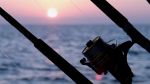 Fall Fishing in the Keys is Red Hot!