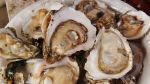 Florida Keys Seafood Festival