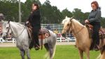 Gulf Coast Horse Show and Music Festival