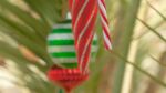 Happy Holidays Month!