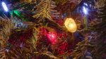 Key West Harbor Walk of Lights