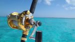 Offshore Classic in Mexico Beach