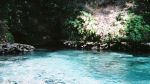 Celebrate Florida State Parks Month!