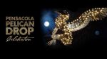 Moon Pies, Pelicans and Giant Balls!