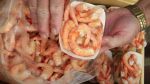 Pensacola Seafood Festival
