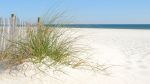 The Perfect Destin Vacation The Perfect Destin Vacation