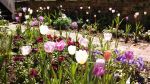 The Secret Gardens Tour