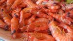 National Shrimp Festival