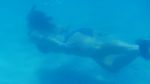 Snorkeling & Diving in Destin
