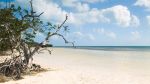 Springtime in Key West