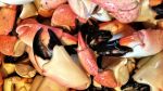Stone Crab Season