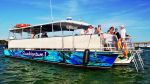 SunVenture Dolphin, Sunset & Fireworks 4th of July Cruise