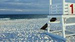 Surrounding Beaches Surrounding Beaches