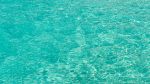 Take the PLUNGE!