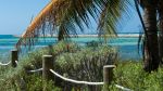 Winter Chill in Key West