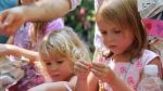 The Yellow Daisy Festival