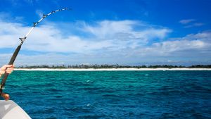 World Sailfish Championship World Sailfish Championship