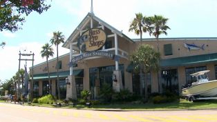 Bass Pro Shops Surf Fishing - A Piece of Advice Bass Pro Shops Surf Fishing - A Piece of Advice