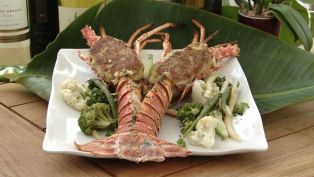 Jennifer Hammer from Snook's Bayside - Celebrity Chefs