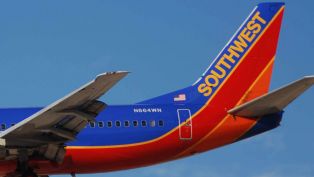 A Colorful Bird is Coming to Northwest Florida!