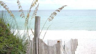 Destin Area Parks