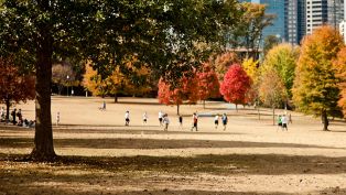 Autumn in Atlanta