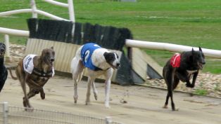 You Bet You Win! You Can't Lose at Ebro!
