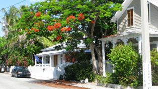 Key West is Booming!