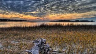 Journey down the Marsh Walk