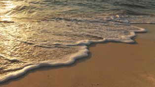 Only at the Beach!