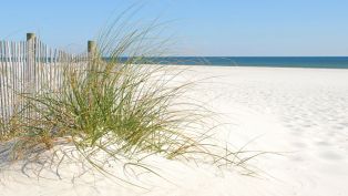 The Perfect Destin Vacation