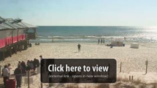 Willy's Live Beach Cam