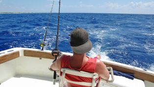 Plenty to do in Pensacola!