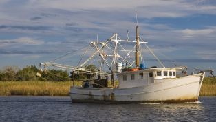 Road Trip to Apalachicola