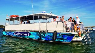 SunVenture Dolphin, Sunset & Fireworks 4th of July Cruise