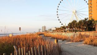 Winter at the Beach