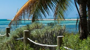 Winter Chill in Key West Winter Chill in Key West