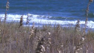 Winter in Myrtle Beach